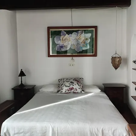 Pensión Casa Del Arte *